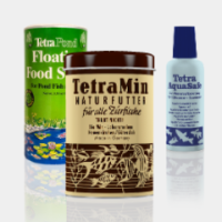 Company_Teaser_Hisory